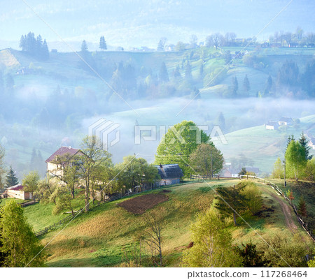 Serene countryside morning with mist rolling over gentle hills. Sunlight filters through, highlighting cozy farmhouse surrounded by lush trees. Scattered homes and winding paths, mist-covered valleys. 117268464