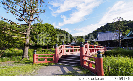 Summer at Shomyoji Temple, Kanazawa Ward, Yokohama City, Kanagawa Prefecture 117269186