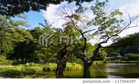 神奈川縣橫濱市金澤區稱名寺和健明寺的夏天 117269197