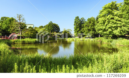 神奈川縣橫濱市金澤區稱名寺和健明寺的夏天 117269209