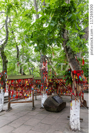 Popular bodhi wishing tree in Huanglongzi ancient town in Sichuan Chian with thousand of wishes. 117269300