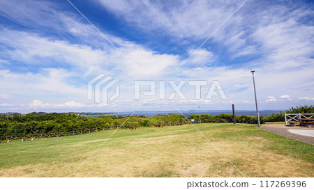 Summer in Jogashima, Miura City, Miura Peninsula 117269396