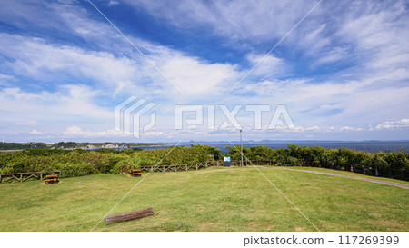 Summer in Jogashima, Miura City, Miura Peninsula 117269399