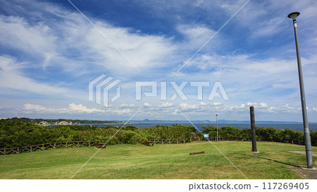 Summer in Jogashima, Miura City, Miura Peninsula 117269405