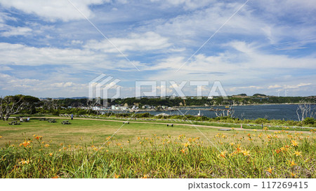 Summer in Jogashima, Miura City, Miura Peninsula 117269415