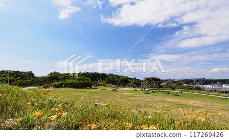 Summer in Jogashima, Miura City, Miura Peninsula Summer in Jogashima, Miura City, Miura Peninsula 117269426