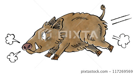充電野豬 117269569