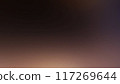 vector blurred gradient background with gradient 117269644