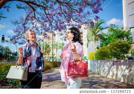Engaged in Fashion Trends Talk, Two Ladies Reluctant to Part After a Delightful Walk Under Blooming Jacaranda. Engaged in Fashion Trends Talk, Two Ladies Reluctant to Part After a Delightful Walk Under Blooming Jacaranda. 117269723