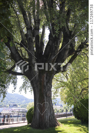 Bregenz harbor entrance, Austria on Lake Constance 117269738