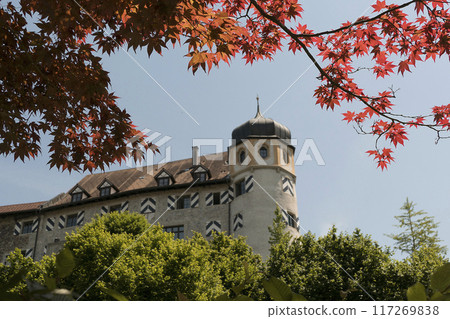 Oberstadt (upper city) in Bregenz, Austria on Lake Constance Oberstadt (upper city) in Bregenz, Austria on Lake Constance 117269838
