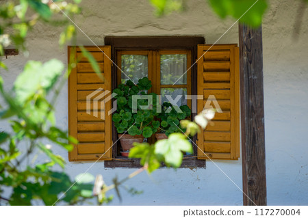 Old window with wooden frames, shutters and flowers. 117270004