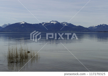 Panorama of lake Chiemsee in Bavaria, Germany Panorama of lake Chiemsee in Bavaria, Germany 117270325