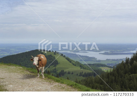 Lake Chiemsee in Bavaria, Germany 117270333
