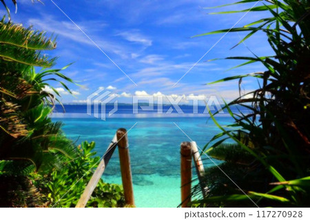 An illustration of a place in Okinawa where you can see the ocean. 117270928