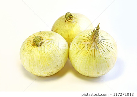 洋蔥（純白） 117271018
