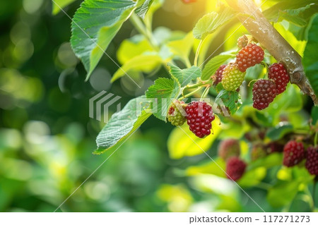 Vibrant garden scene with a towering tree having lush green leaves and red berries. Perspective from below looking up at the tree. Garden landscape with blurred foliage in the background. 117271273