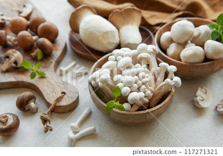 Assortment of various raw mushrooms on gray concrete background. 117271321
