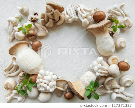 Assortment of various raw mushrooms Assortment of various raw mushrooms 117271322