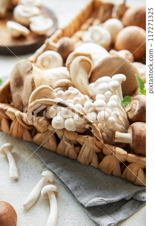 Assortment of various mushrooms Assortment of various mushrooms 117271325
