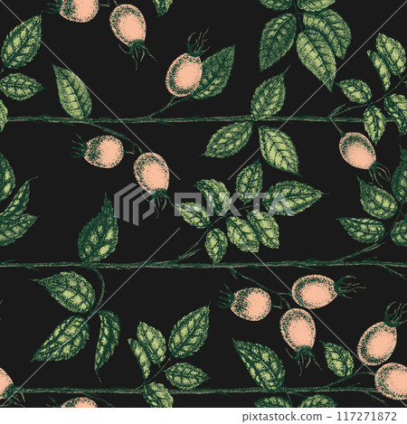 Wild rose flowers drawing and sketch with pointillism on black backgrounds. Vintage pattern of branch with rosehip fruits and leaves. 117271872
