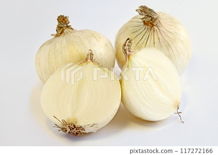 洋蔥(純白) 洋蔥(純白) 117272166