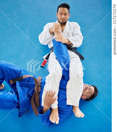 Karate, fight and top view for martial arts sports competiotion or personal trainer, coach and mma fighting workout. Taekwondo training, fitness exercise teacher and wrestling challenge on gym floor 117272274