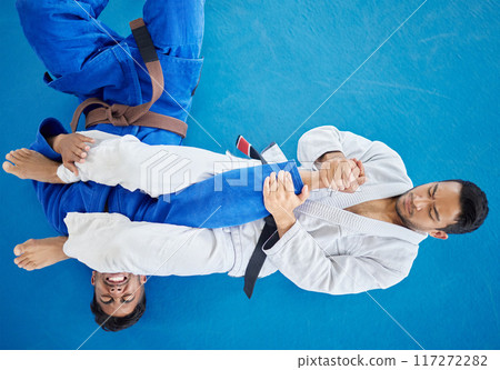 Top view, karate and men training for competition, fitness and fighting for match, wellness or health. Mma, healthy males or practice for game, martial arts and exercise for workout, power or routine 117272282