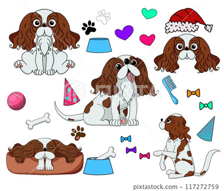 Cavalier King Charles Spaniel clipart. All coat colors set. Different position. All dog breeds characteristics infographic. Cavalier King Charles Spaniel clipart. All coat colors set. Different position. All dog breeds characteristics infographic. 117272759