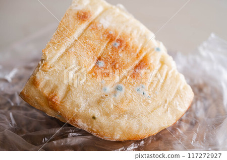 Mold on bread Mold on bread 117272927