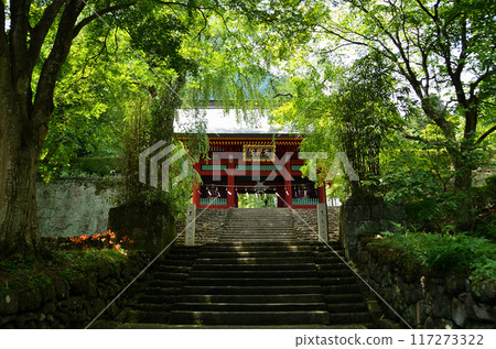 Myogi Shrine's Zuishinmon Gate: a power spot where great energy gathers in Myogi Town, Fujioka City, Gunma Prefecture Myogi Shrine's Zuishinmon Gate: a power spot where great energy gathers in Myogi Town, Fujioka City, Gunma Prefecture 117273322