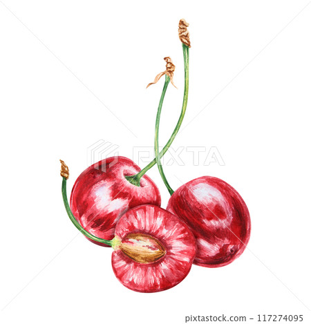 Half a red cherry. Juicy hand drawn watercolor illustration. Delicious food art, fresh botanical realistic painting. Summer berry clipart for restaurant menu, packaging of farm goods, vegan products Half a red cherry. Juicy hand drawn watercolor illustration. Delicious food art, fresh botanical realistic painting. Summer berry clipart for restaurant menu, packaging of farm goods, vegan products 117274095