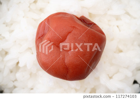 Close-up of pickled plums on rice 117274103