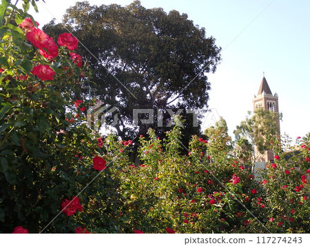 Roses tower Roses tower 117274243