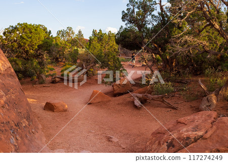 Sandy Terrain on Devils Garden Trail in Utah Sandy Terrain on Devils Garden Trail in Utah 117274249