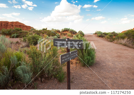 Directional Signage to Landscape Arch in Utah 117274250