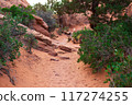 Sandy Terrain on Devils Garden Trail in Utah 117274255