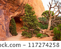 Navajo Arch in Devils Garden, Arches National Park 117274258