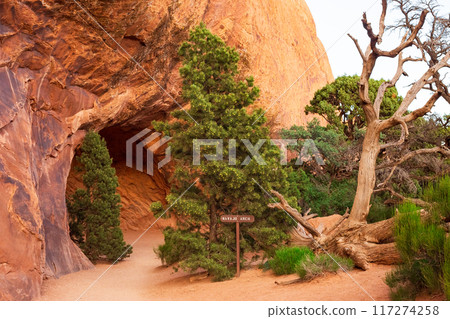 Navajo Arch in Devils Garden, Arches National Park 117274258