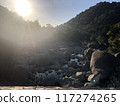 Morning sun shining on the riverbank 117274265