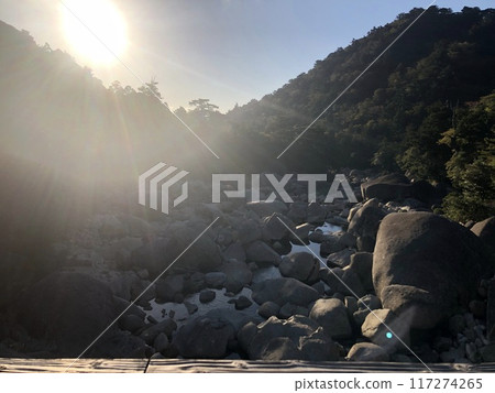 Morning sun shining on the riverbank 117274265