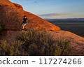 Boy Hiking at Sunset on Devils Garden Trail, Utah 117274266