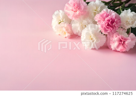 粉彩日本白安野薰花房,母親節概念寬廣公告刊物 粉彩日本白安野薰花房,母親節概念寬廣公告刊物 117274625