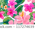 Hibiscus flower tropical illustration 117274639