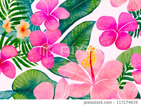 芙蓉花熱帶插畫 117274639