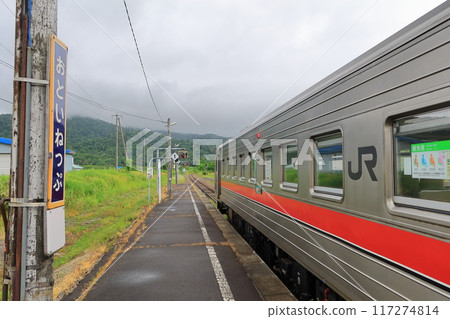 JR Hokkaido Kiha 54 local train stops at Otoineppu Station in Hokkaido in summer JR Hokkaido Kiha 54 local train stops at Otoineppu Station in Hokkaido in summer 117274814