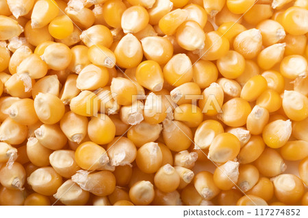 爆米花（乾玉米） 117274852