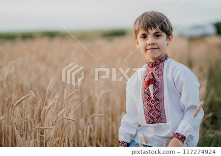 Portrait of smiling boy - Ukrainian patriot child in wheat field in embroidered shirt - Vyshyvanka. Portrait of smiling boy - Ukrainian patriot child in wheat field in embroidered shirt - Vyshyvanka. 117274924