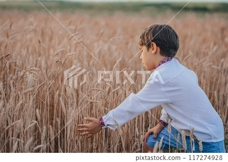Little farmer boy - Ukrainian child in wheat field. Checks harvest, golden ears Little farmer boy - Ukrainian child in wheat field. Checks harvest, golden ears 117274928