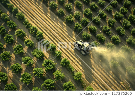 Aerial view of vast green field with rows of trees, tractor sprays water under warm sunlight casting long shadows. Agricultural farm scene with rich vegetation and modern farming equipment. Aerial view of vast green field with rows of trees, tractor sprays water under warm sunlight casting long shadows. Agricultural farm scene with rich vegetation and modern farming equipment. 117275200